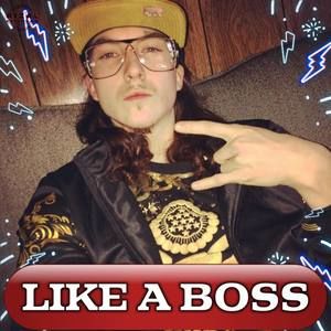 Meet your Posher, Vick